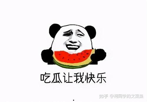 娱乐吃瓜群文案搞笑