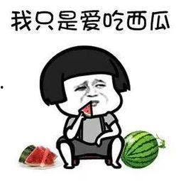 娱乐圈的瓜在哪吃